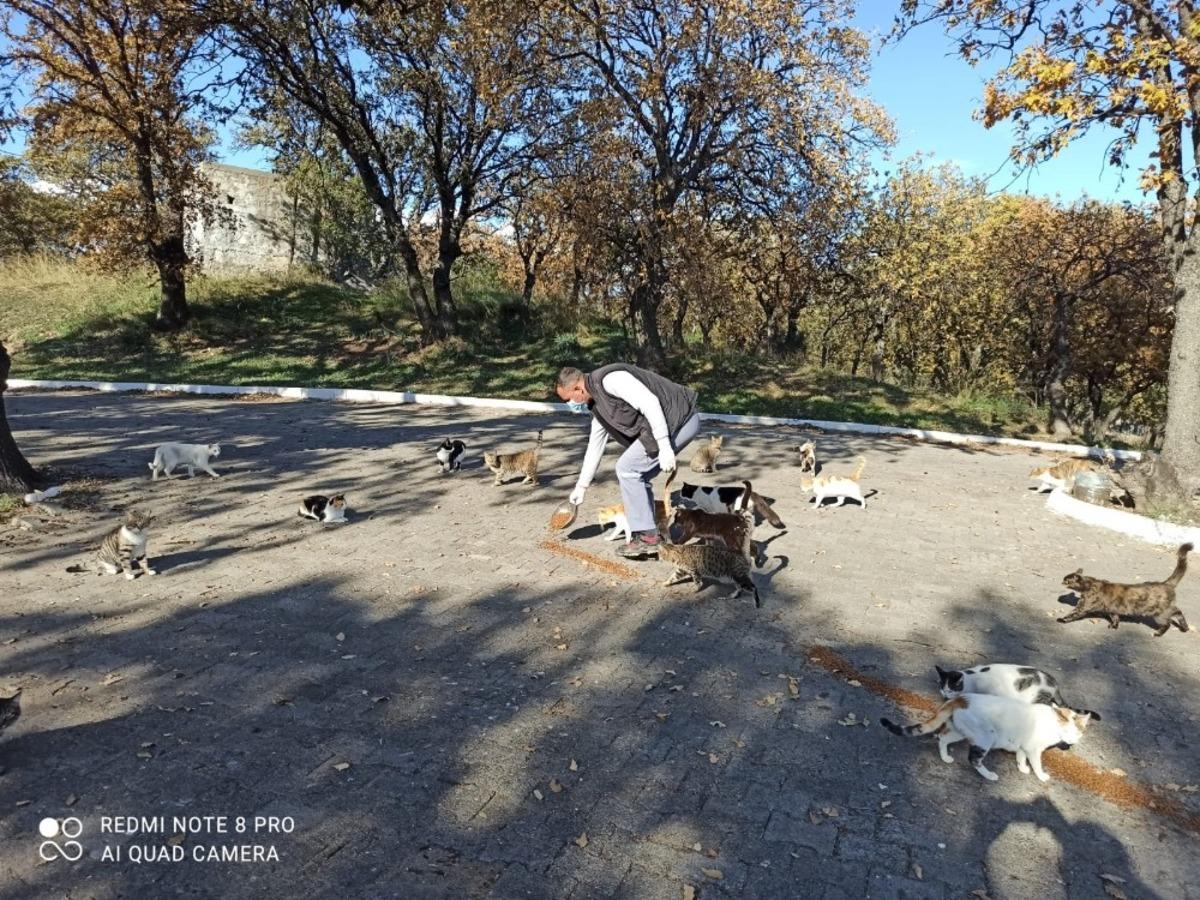 Burhaniye&rsquo;de Belediye Can dostlarını unutmadı