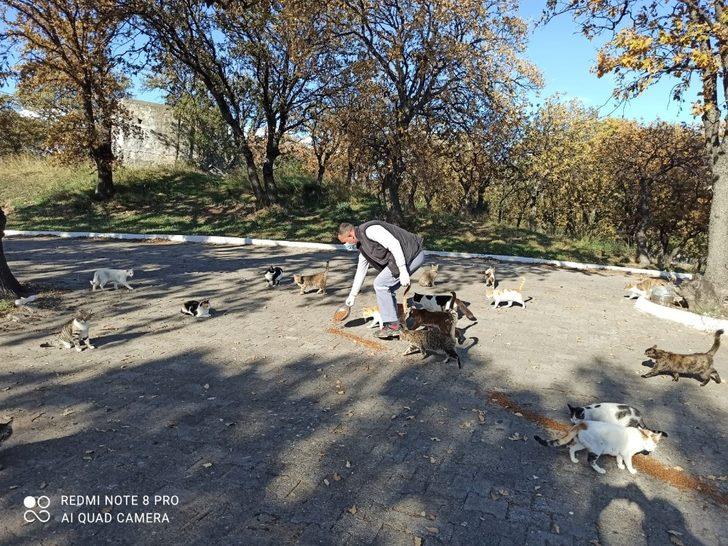 Burhaniye’de Belediye Can dostlarını unutmadı G1