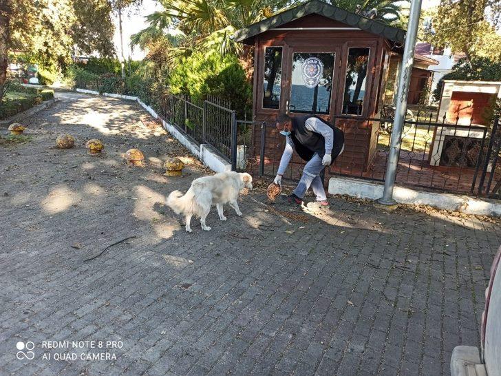 Burhaniye’de Belediye Can dostlarını unutmadı G2