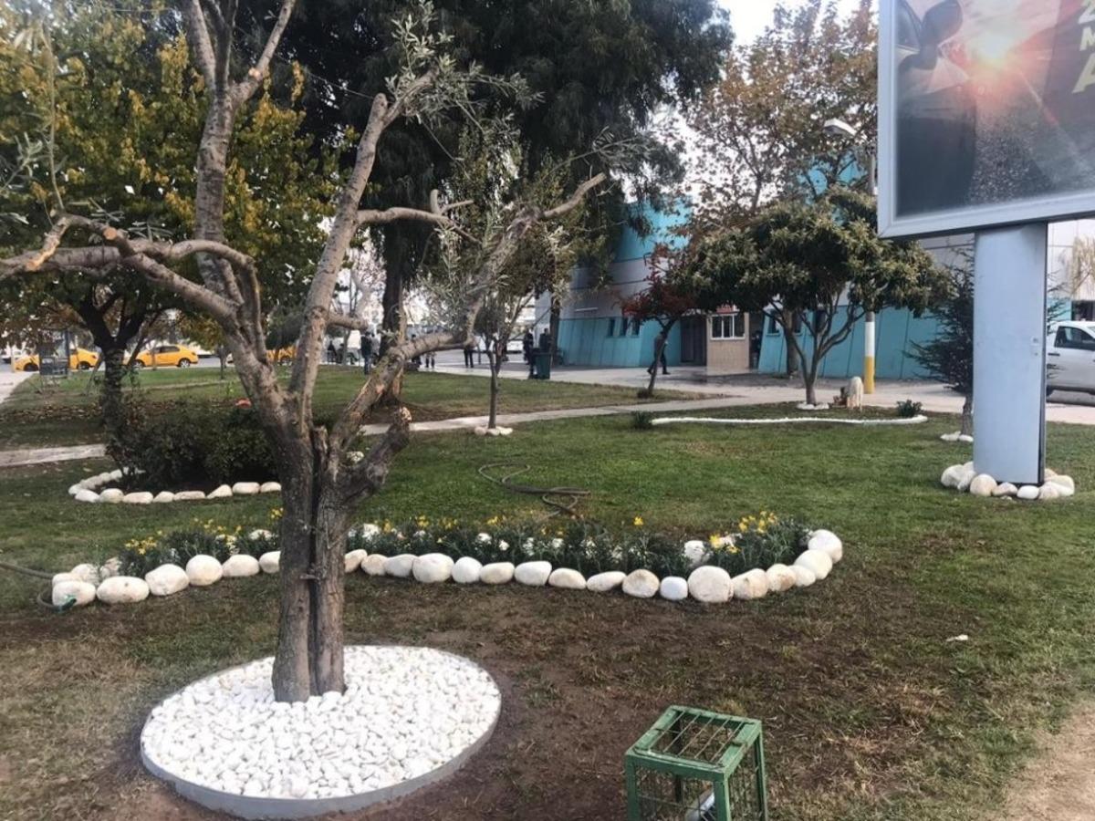 Atıl alan yeşil alana d&ouml;n&uuml;şt&uuml;