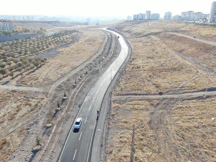 Başkan Çolakbayrakdar, "110 farklı noktaya 100 bin ağaç diktik" G1