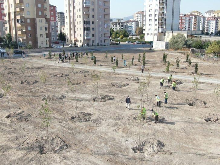 Başkan Çolakbayrakdar, "110 farklı noktaya 100 bin ağaç diktik" G2