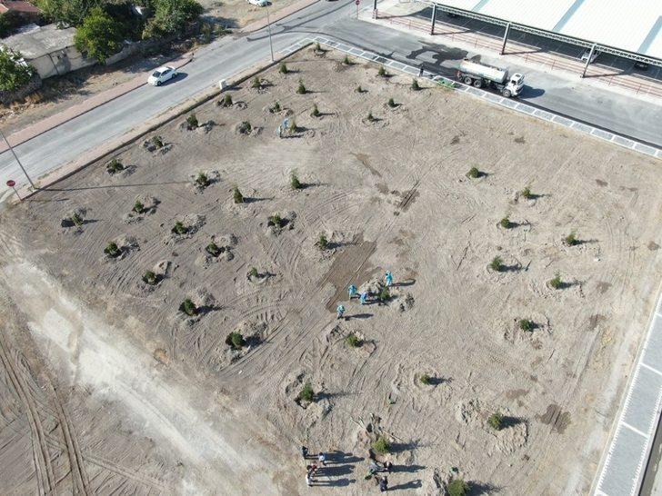 Başkan Çolakbayrakdar, "110 farklı noktaya 100 bin ağaç diktik" G3