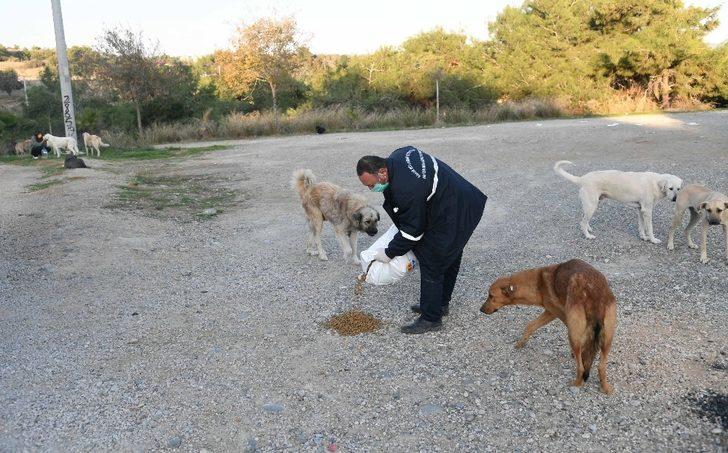 Karantinadaki vatandaşa yemek, sağlık personeline ücretsiz ulaşım G4