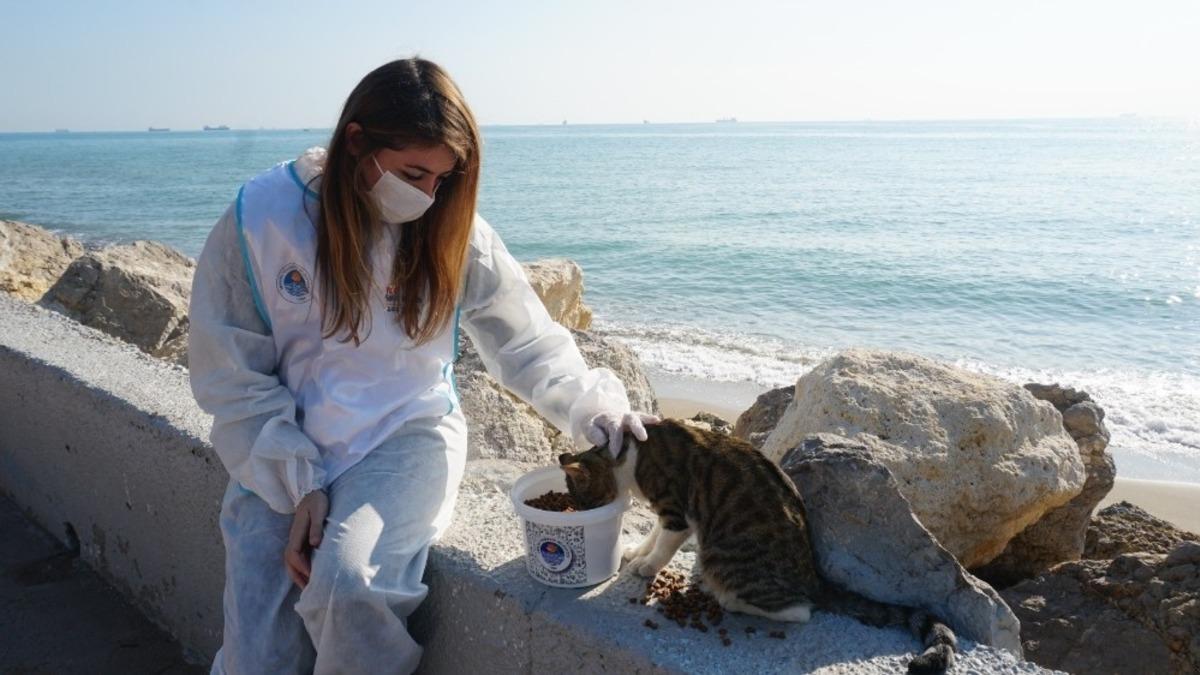 Yenişehir Belediyesi, sokak hayvanlarını yalnız bırakmadı