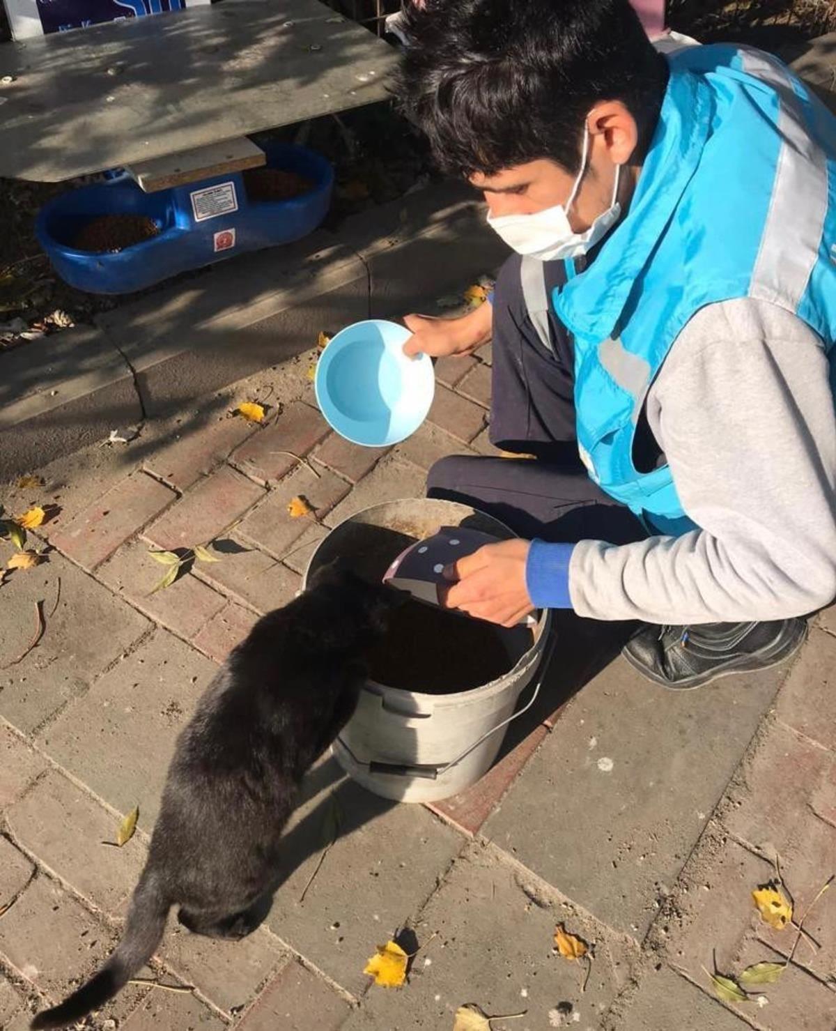 Avcılar&rsquo;da kısıtlamada sokak hayvanları unutulmadı