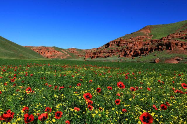 narman peri bacaları erzurum