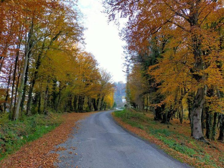 Ordu’da kartpostallık kareler G1