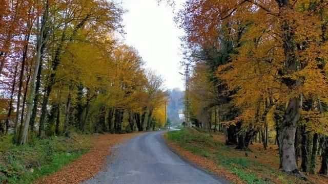 Ordu’da kartpostallık kareler