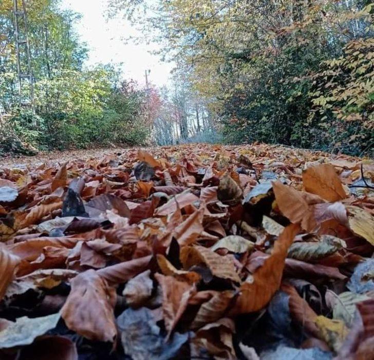 Ordu’da kartpostallık kareler G2