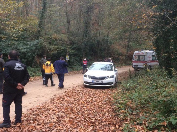 Ormanda kestiği ağaç ölümüne neden oldu G1