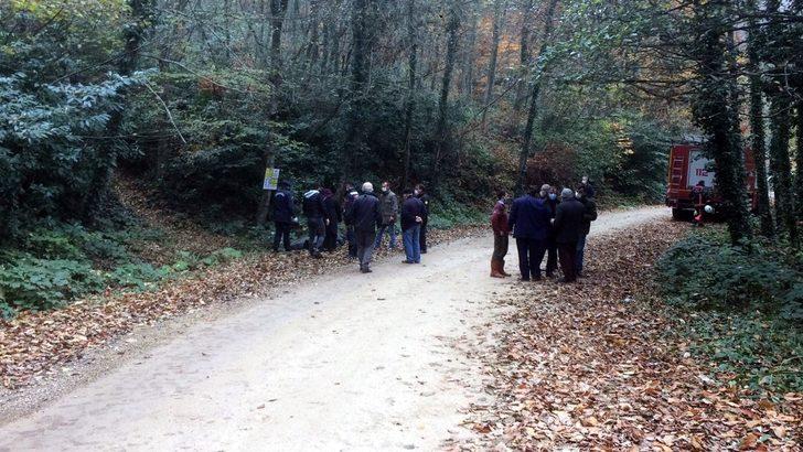 Ormanda kestiği ağaç ölümüne neden oldu G2