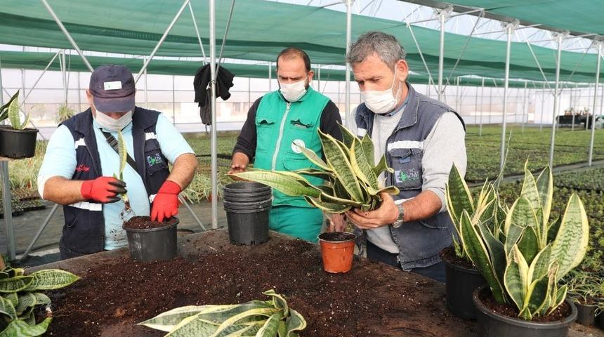 Yaşam Bah&ccedil;esi&rsquo;ndeki bitkilerin &uuml;retimi başladı
