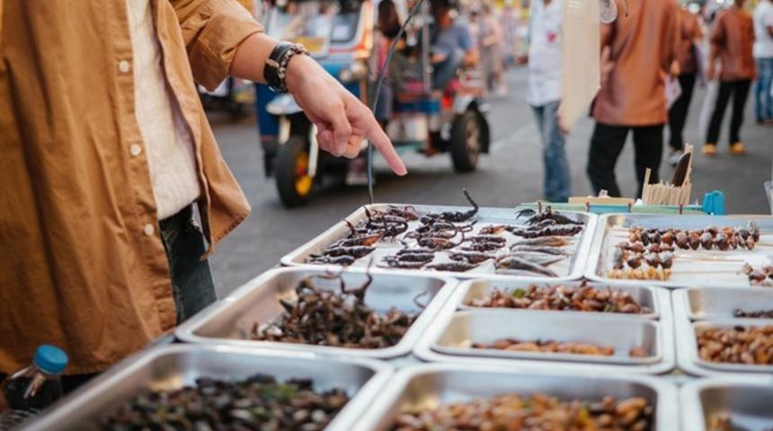 Yenilebilir böcekler nedeniyle yeni bir salgın başlayabilir!