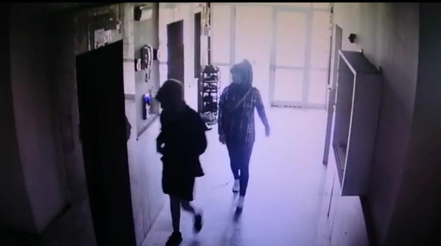 Banyo lifi satma bahanesiyle girdikleri apartmanlarda evleri soydular