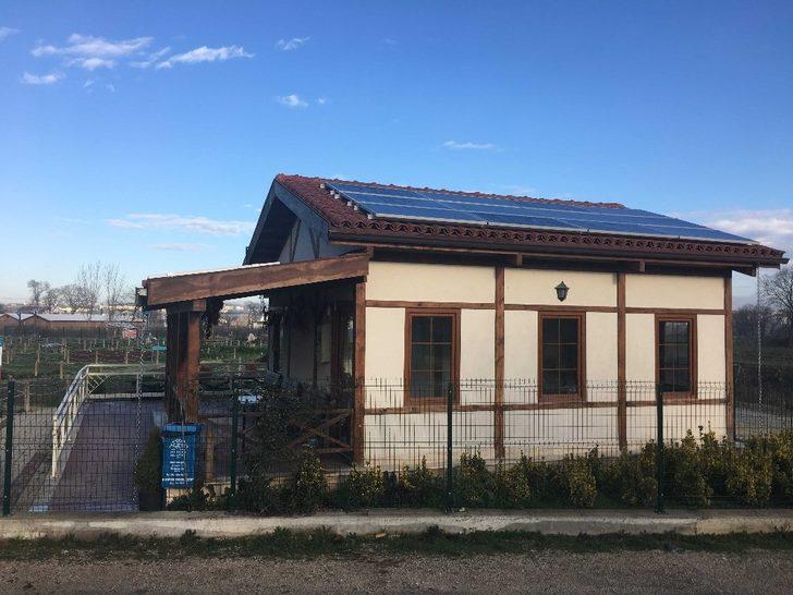 Nilüfer enerjisini boşa harcamıyor G1