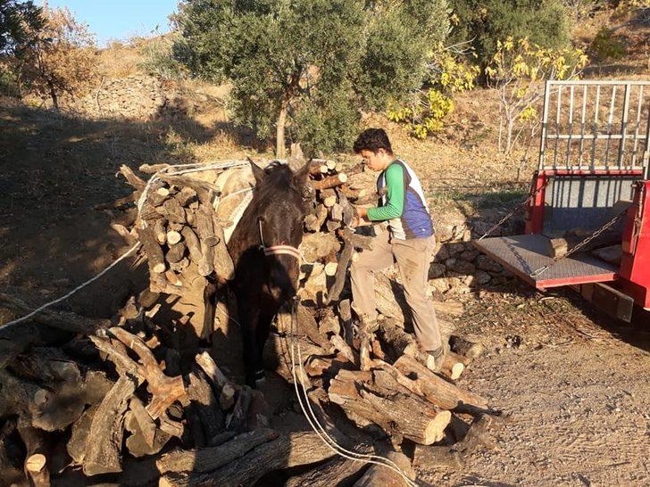 Aydın’da soğuklar başladı vatandaş yakacak derdine düştü G1