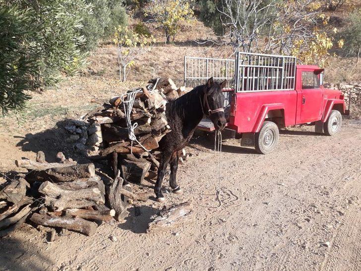 Aydın’da soğuklar başladı vatandaş yakacak derdine düştü G2