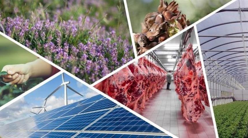 Tarıma dayalı ekonomik yatırım projelerine 1,5 milyon TL&rsquo;ye varan hibe desteği