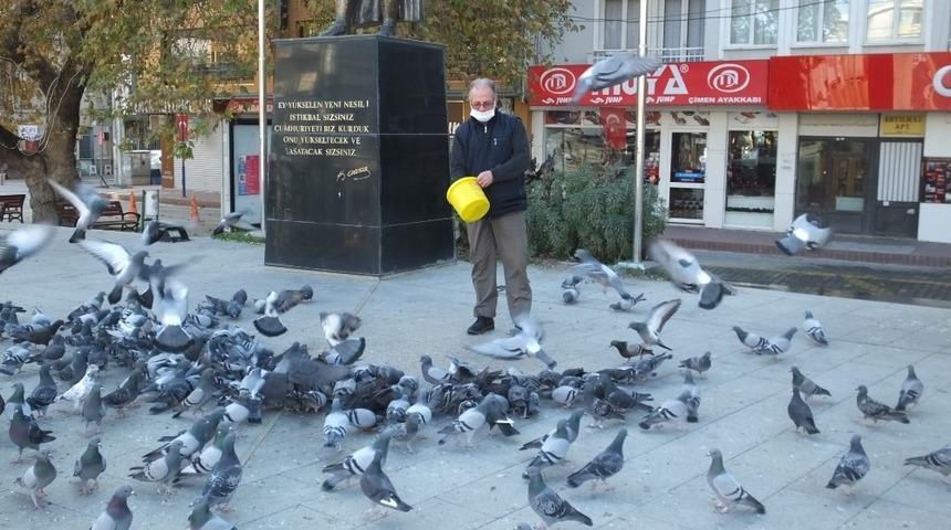 Burhaniye’de güvercinleri imece ile besliyorlar
