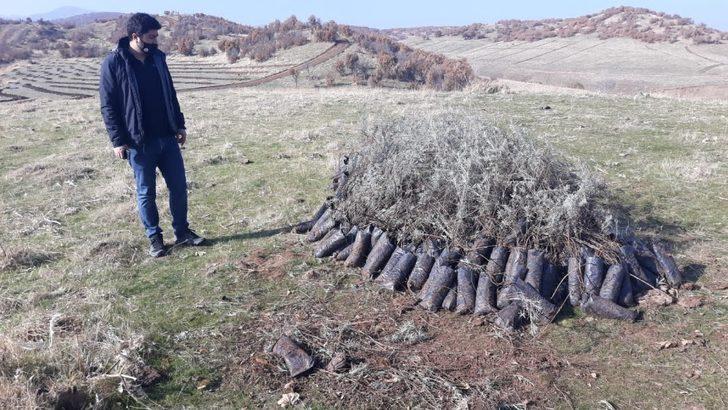 Bingöl’de 210 dönümlük alana bal ormanı kuruldu G2