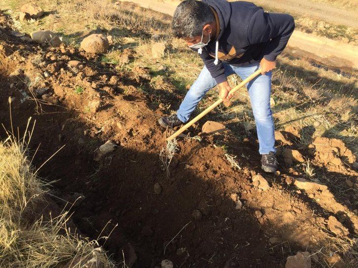 Bingöl’de 210 dönümlük alana bal ormanı kuruldu G3