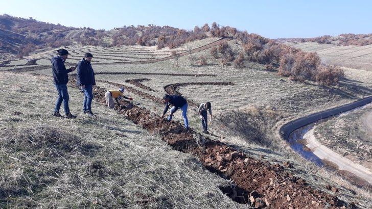 Bingöl’de 210 dönümlük alana bal ormanı kuruldu G4