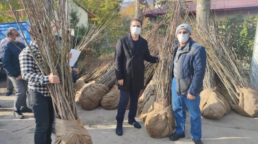 Tunceli&rsquo;de  k&ouml;ylere ceviz ve badem fidanı dağıtımı