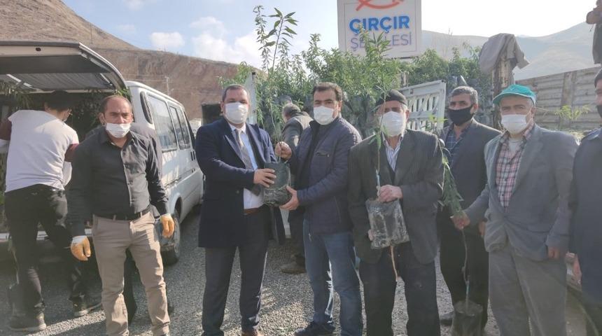 Y&uuml;zde 50 hibe destekli 27 bin fidan &ccedil;ift&ccedil;ilere dağıtıldı