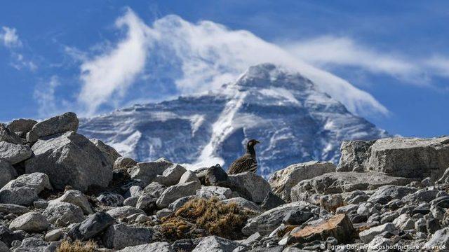 Everest 86 santim uzadı