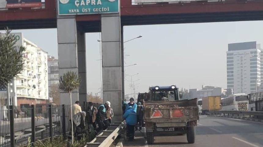 Mimar Sinan Bulvarı artık daha yeşil