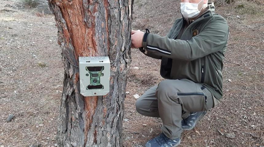 Ormanlara Fotokapanlar yerleştiriliyor