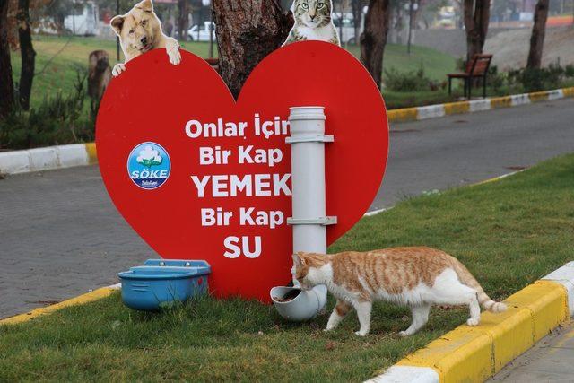 Söke’de Pandemi sürecinde sokak hayvanları aç kalmayacak