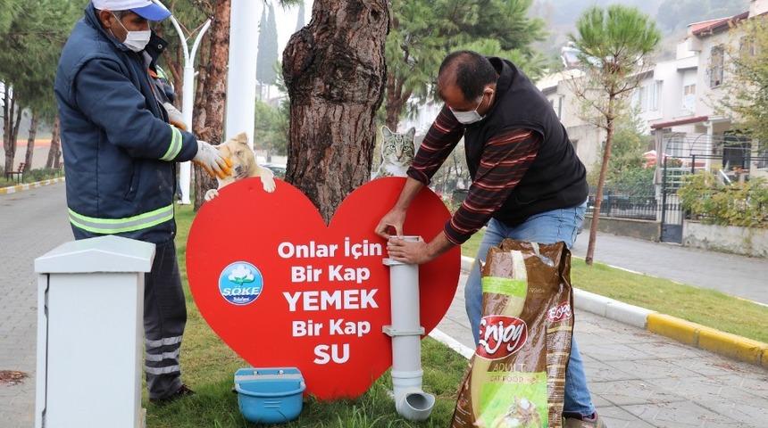 S&ouml;ke&rsquo;de Pandemi s&uuml;recinde sokak hayvanları a&ccedil; kalmayacak