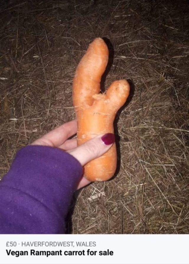 1_KNM_RAMPANT_RABBIT_CARROT_2