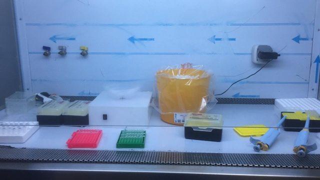 Aydın İl Sağlık Müdürlüğü PCR testleri hakkında vatandaşları bilgilendirdi