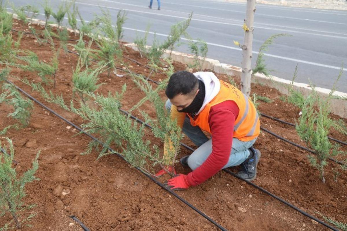 Şanlıurfa baharla birlikte rengarenk &ccedil;i&ccedil;ekler a&ccedil;acak