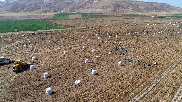 Erzincan havzasında 2021 yılında desteklenecek ürünler belli oldu