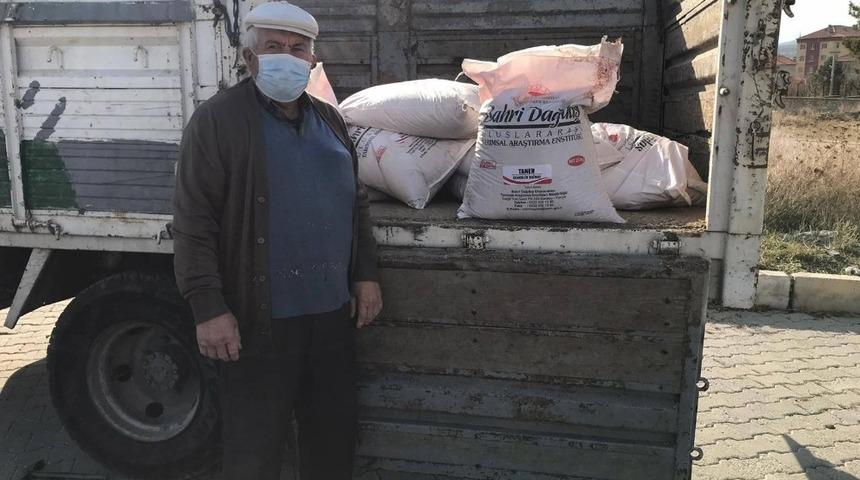 Altıntaş’ta alternatif buğday üretimi