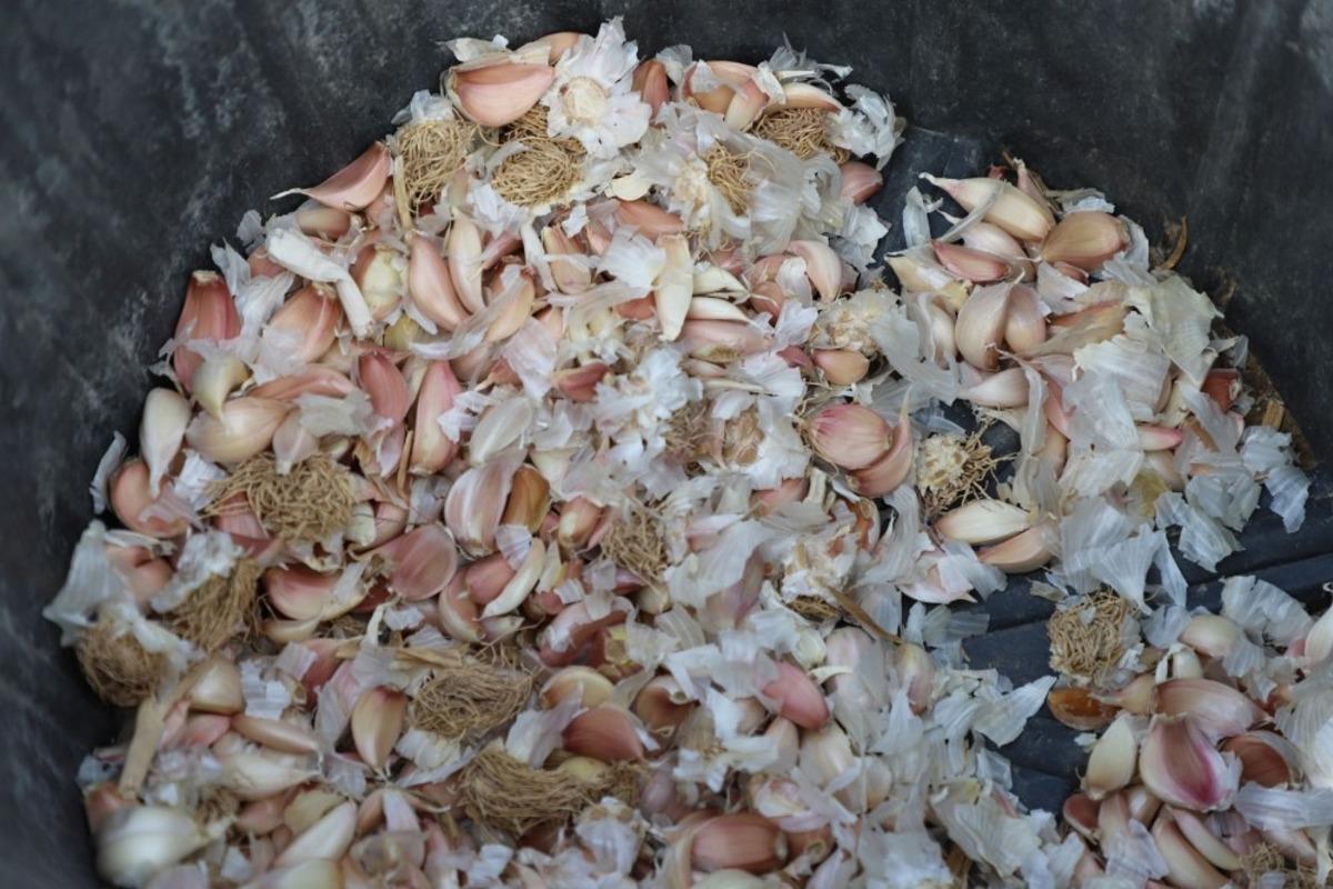 B&uuml;y&uuml;k&ccedil;ekmece&rsquo;de tarım seferberliği s&uuml;r&uuml;yor