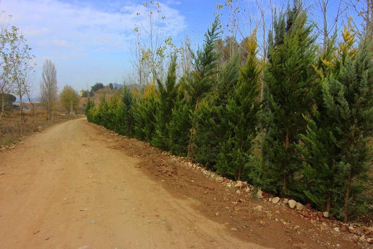 Korona virüsünden hayatı kaybedenler için 75 bin ağaç dikilecek G3