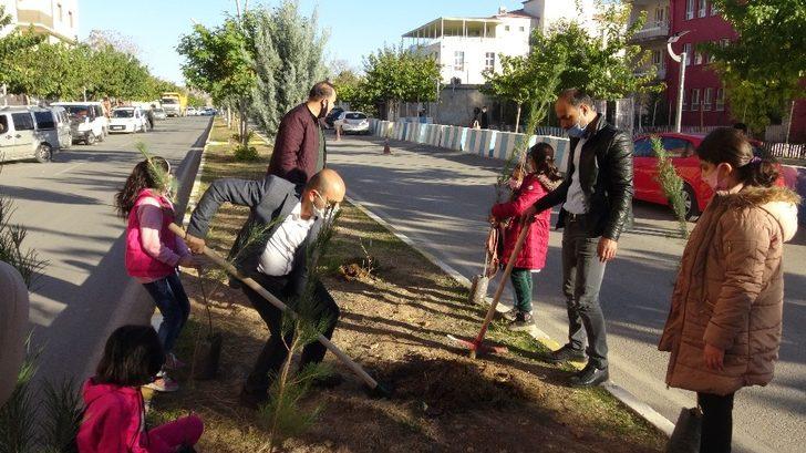 Gercüş’te Ağaçlar Kitaplarla Büyüyor Projesi devam ediyor G3
