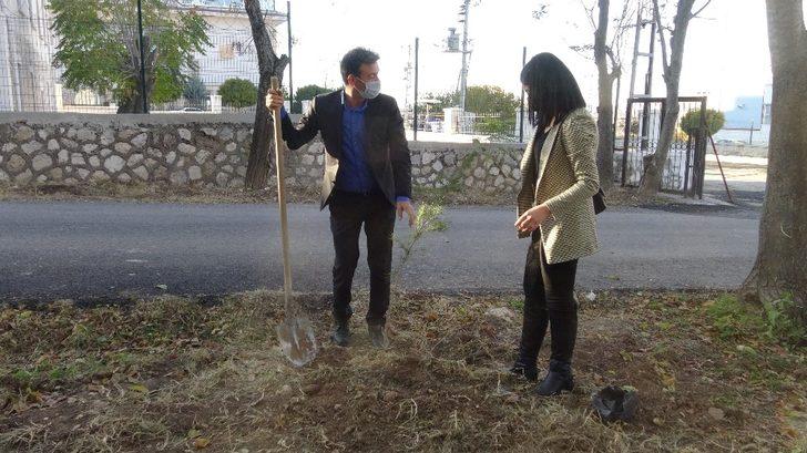 Gercüş’te Ağaçlar Kitaplarla Büyüyor Projesi devam ediyor G5