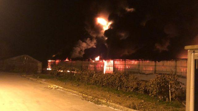 Bursa’da strafor fabrikası alev alev yandı