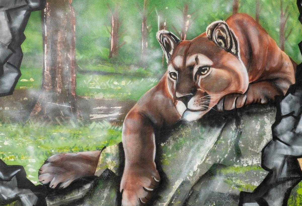 Doğal Yaşam Parkının duvarlarına renk geldi