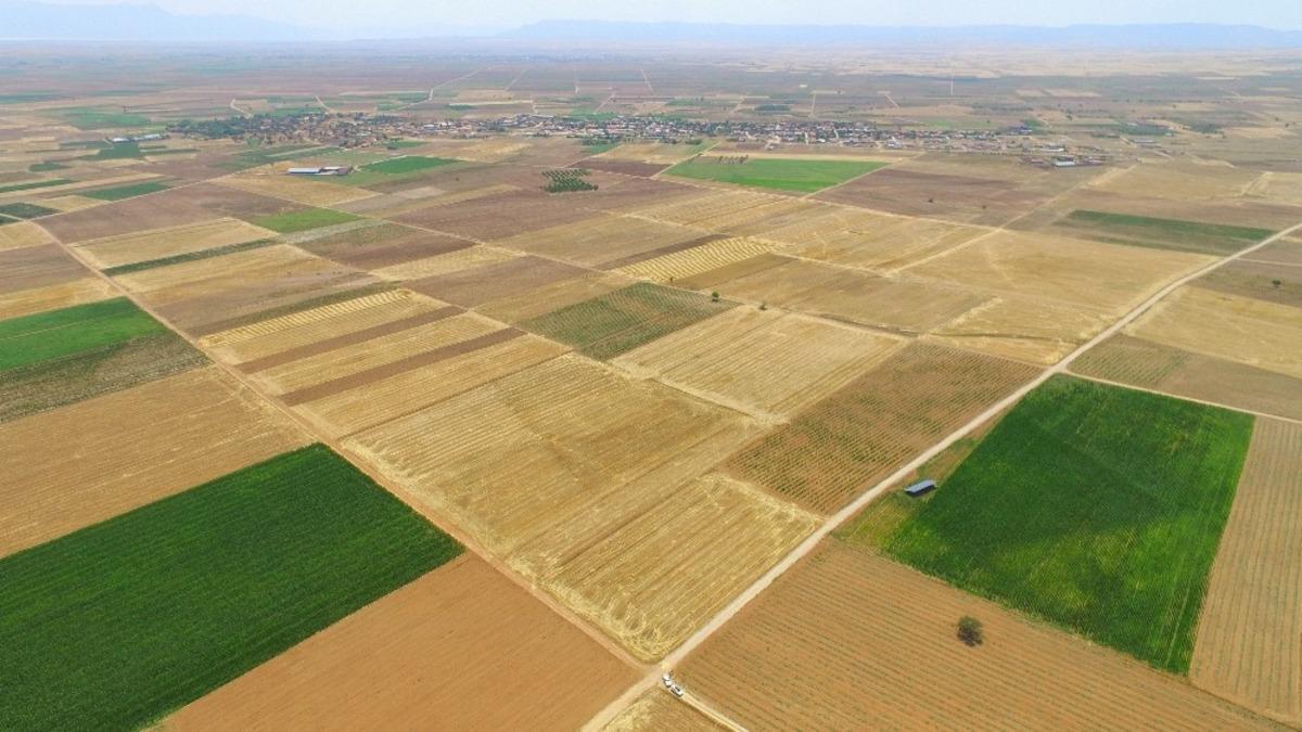 Bu yıl Burdur ve Afyon&rsquo;da 12 bin 73 hektar alan toplulaştırıldı