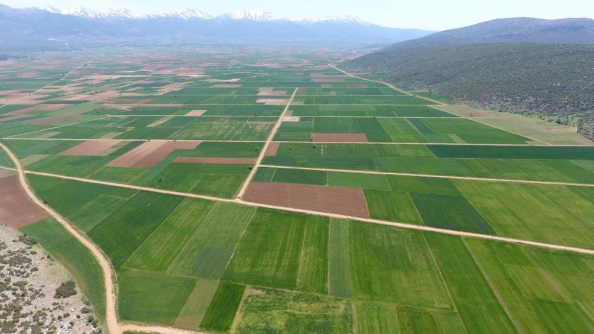 Denizli&rsquo;de 2020 yılında 6 bin 500 hektar alanın değeri 2 kat arttı