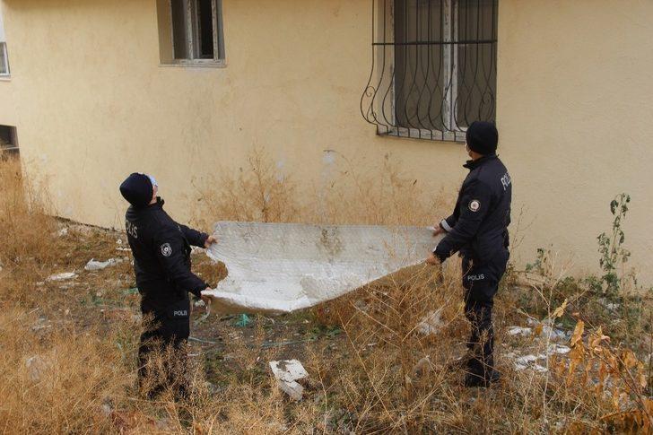 Hırçın kedi, miyavlayarak yardım istedi, kurtarılınca nankörlük etti G3