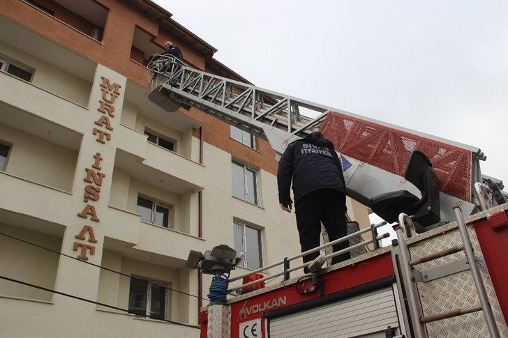 Hırçın kedi, miyavlayarak yardım istedi, kurtarılınca nankörlük etti G4