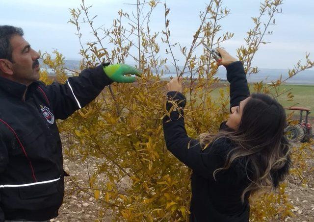 &Ccedil;ift&ccedil;ilere budama teknikleri &ouml;ğretildi 1
